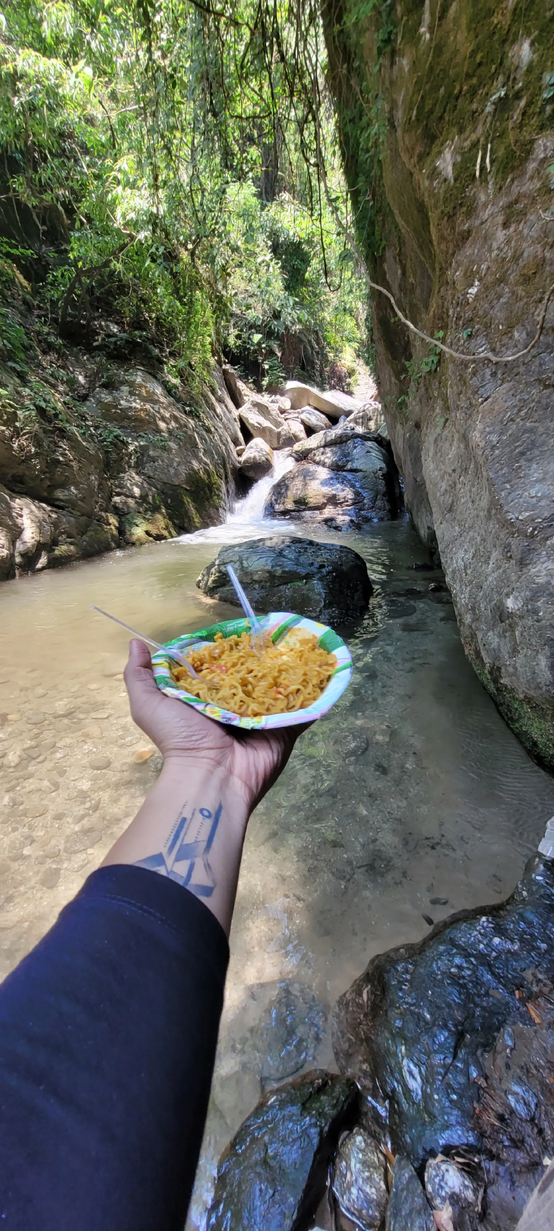 A plate of maggi held above a forest stream