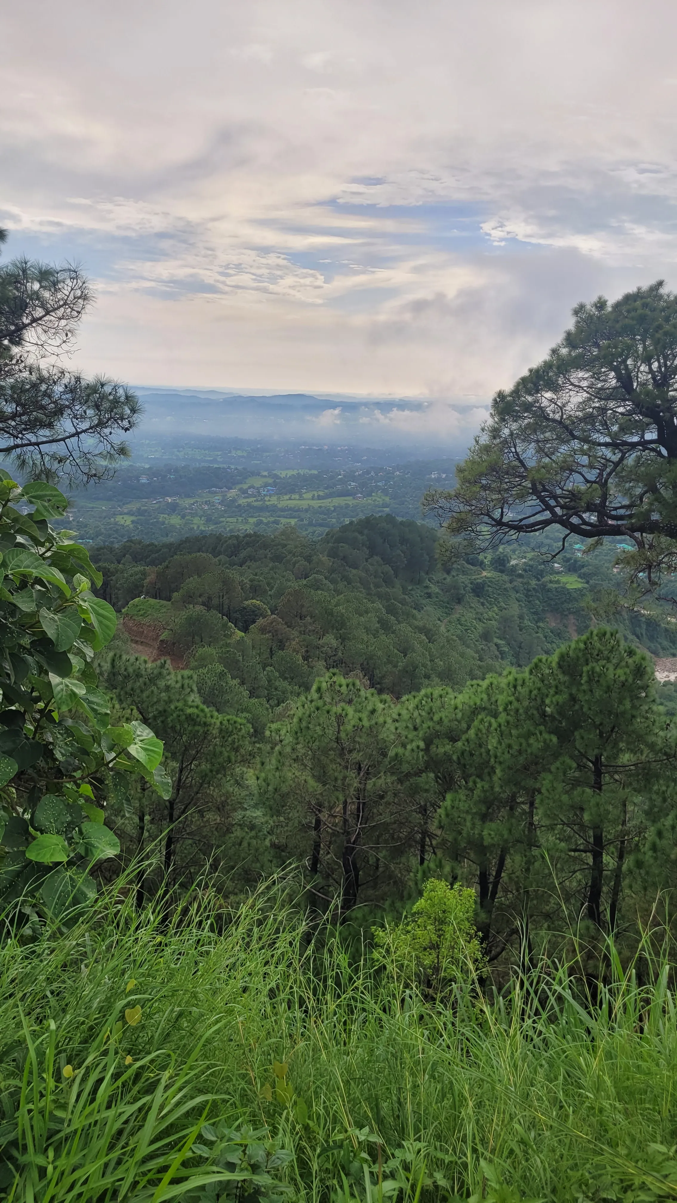 Forested ridge under heavy clouds