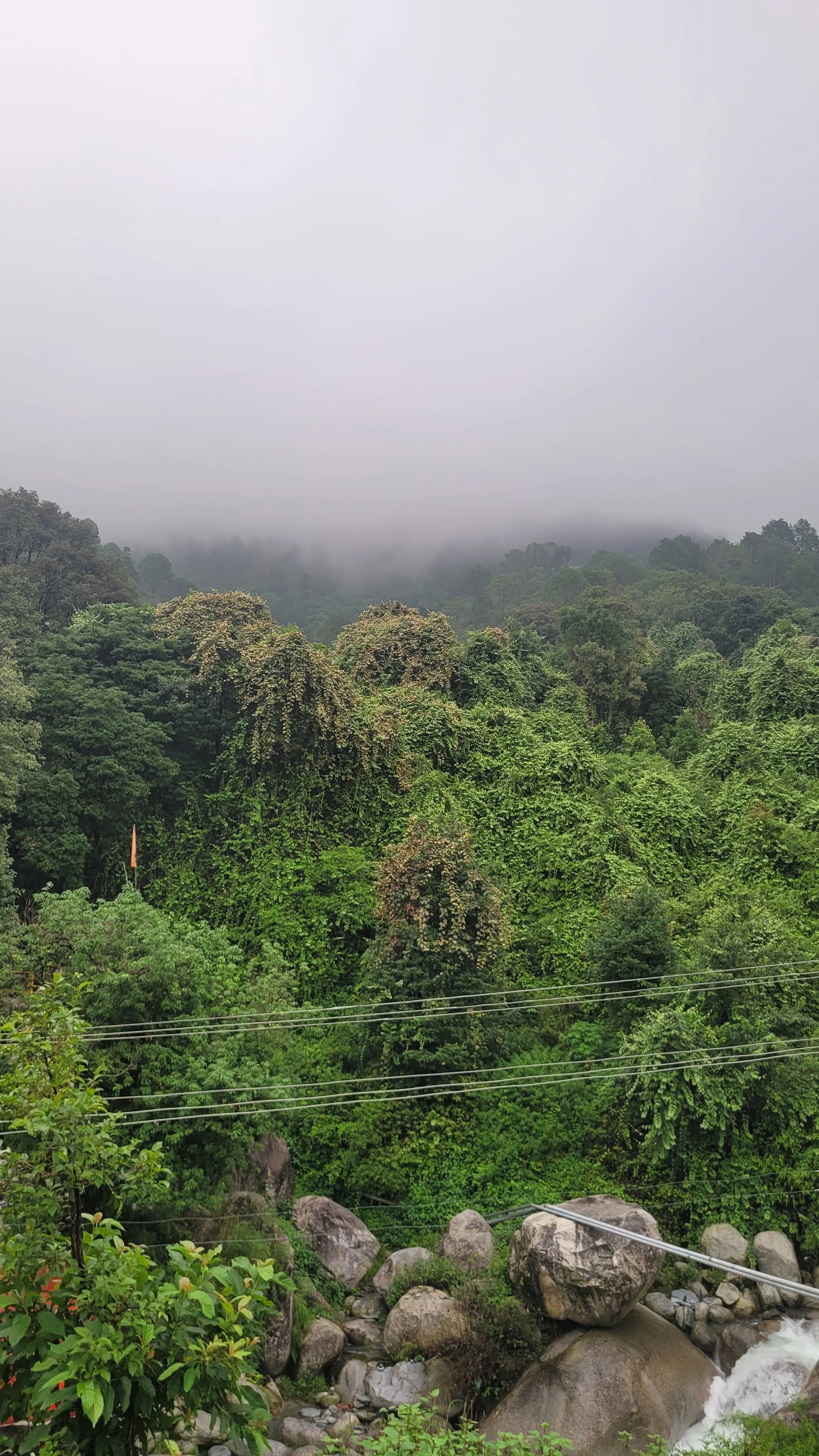 Power lines through misty hills